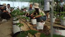 Drip irrigation system in Thai Nguyen University