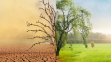Bundelkhand region of Uttar Pradesh