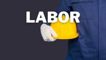 Labor