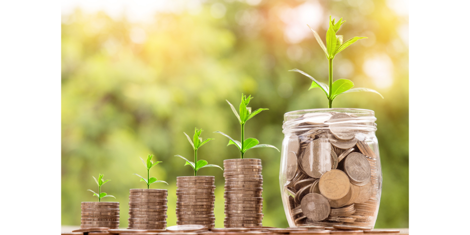 Plants Growing from Piled Coins