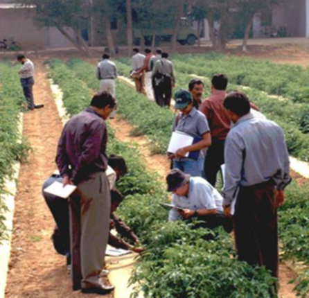 Mashav international Course on Agricultural extensions 