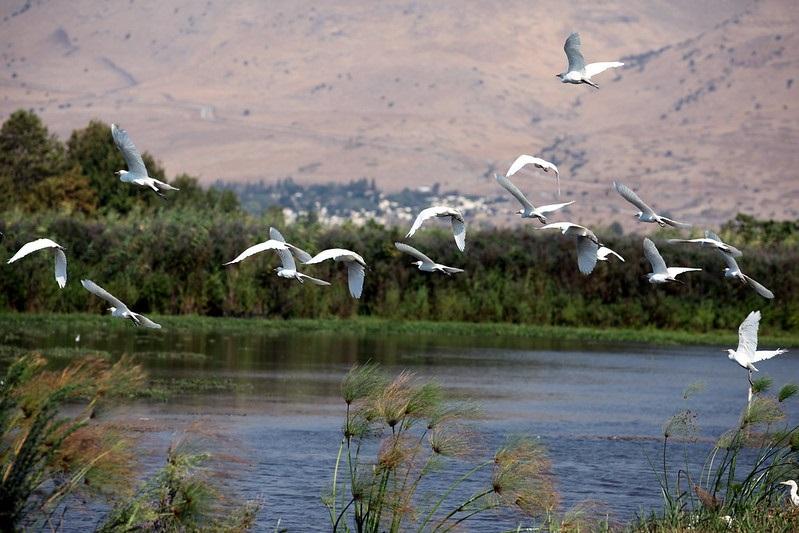 Hula Lake