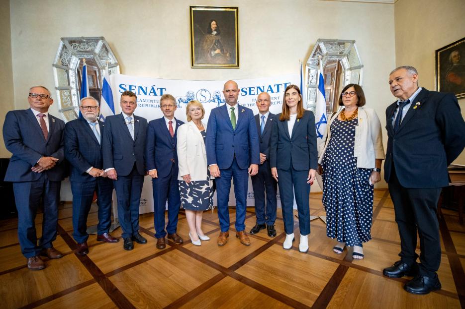 Speaker of the Knesset Amir Ohana at the Senate, July 2024