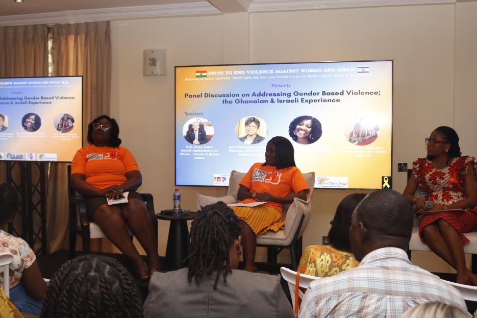 Panelist on the GBV Conversation 