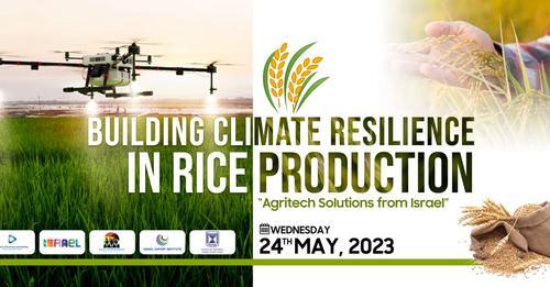 Rice Event Flyer (photo credit: MFA Accra) Rice Event Flyer