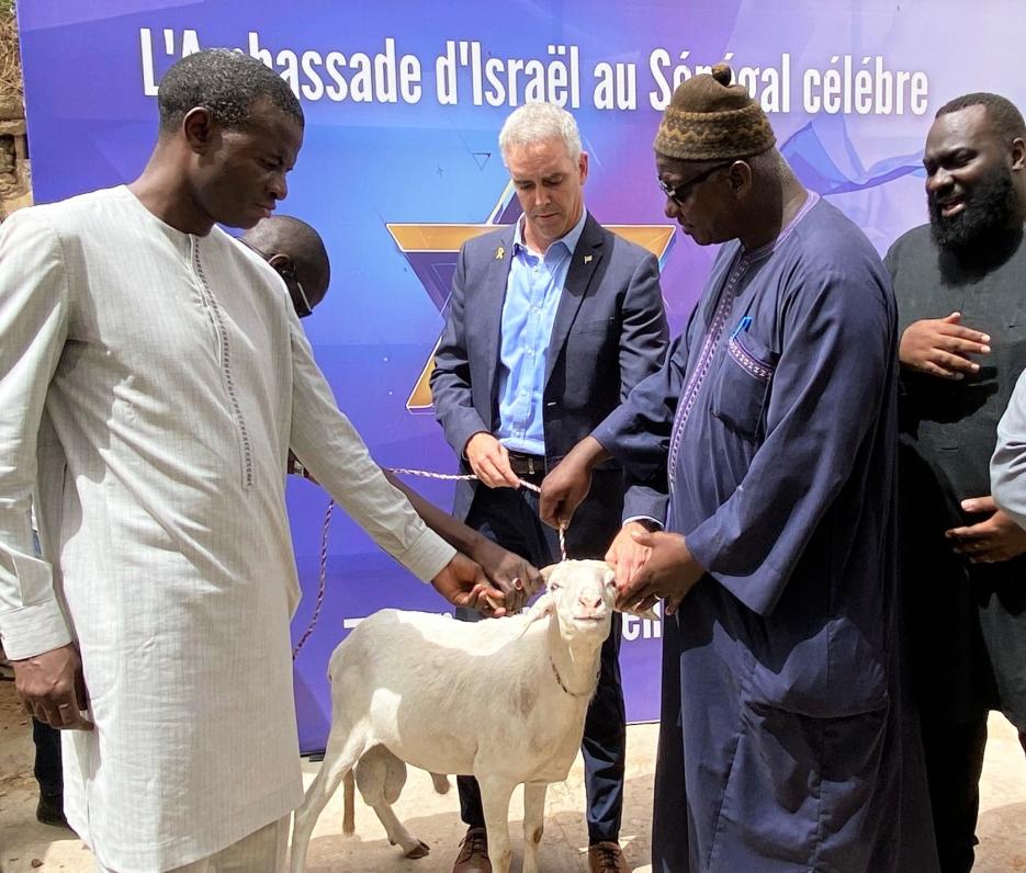Sheep's donation in Senegal (photo credit: @Israel in Senegal) 77 sheep's donation