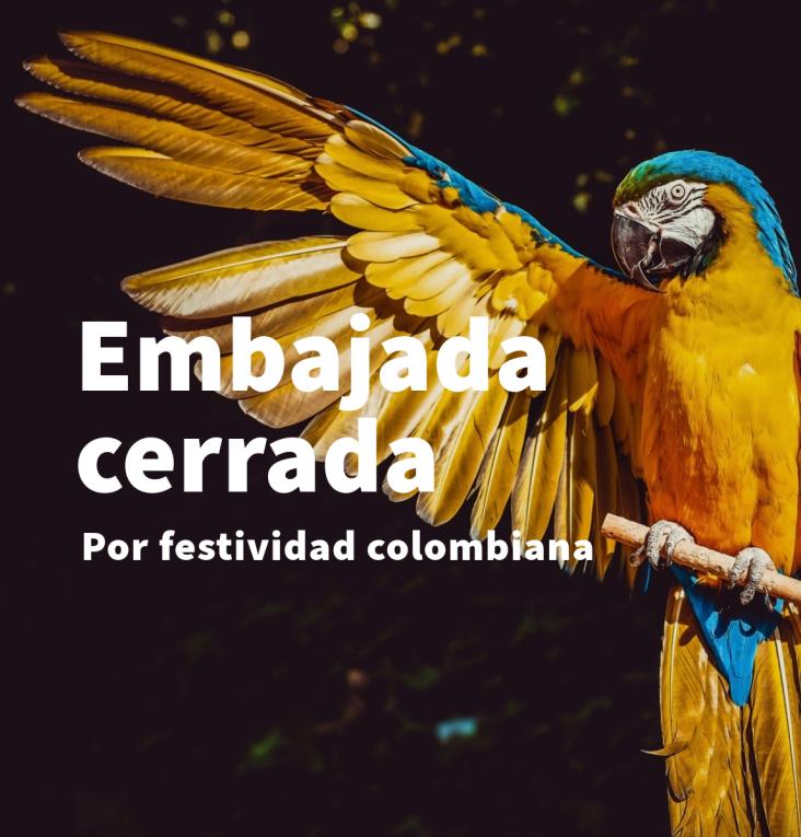 festividadcolombiana