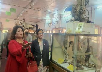 Shalom Club members visit Natural History Museum