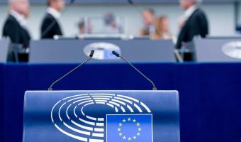  The European-parliament-decision
