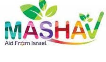 mashav