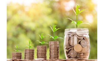 Plants Growing from Piled Coins