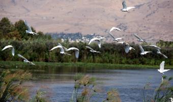 Hula Lake