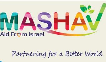 mashav