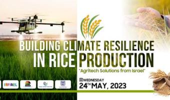 Rice Event Flyer