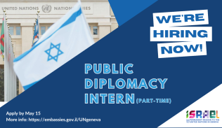 Public Diplomacy Intern