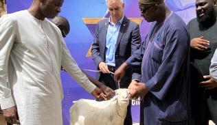 77 sheep's donation
